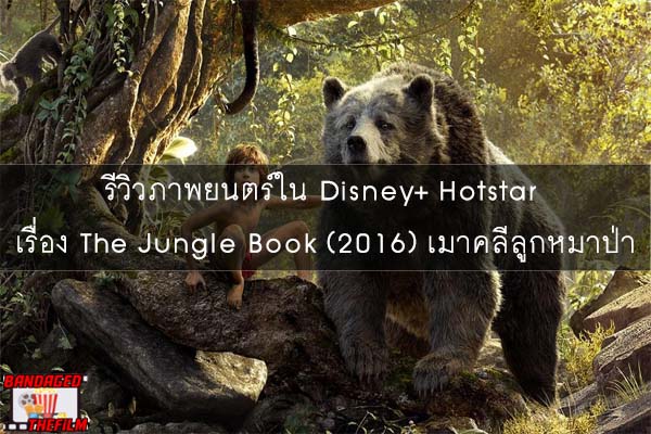 รีวิวภาพยนตร์ใน Disney+ Hotstar เรื่อง The Jungle Book (2016) เมาคลีลูกหมาป่า