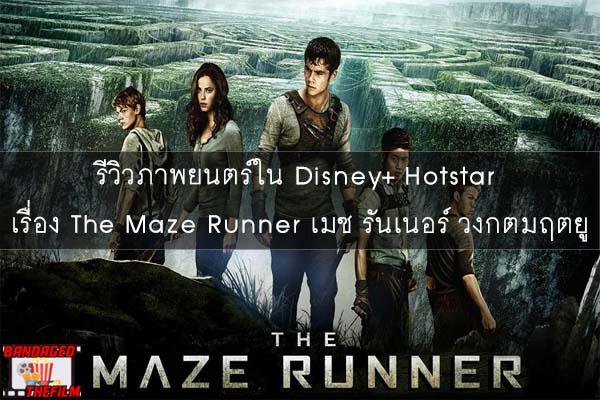 รีวิวภาพยนตร์ใน Disney+ Hotstar เรื่อง The Maze Runner เมซ รันเนอร์ วงกตมฤตยู