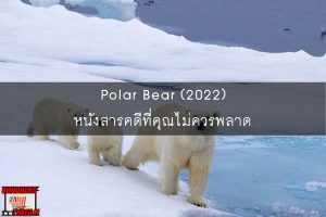 Polar Bear (2022) หนังสารคดีที่คุณไม่ควรพลาด